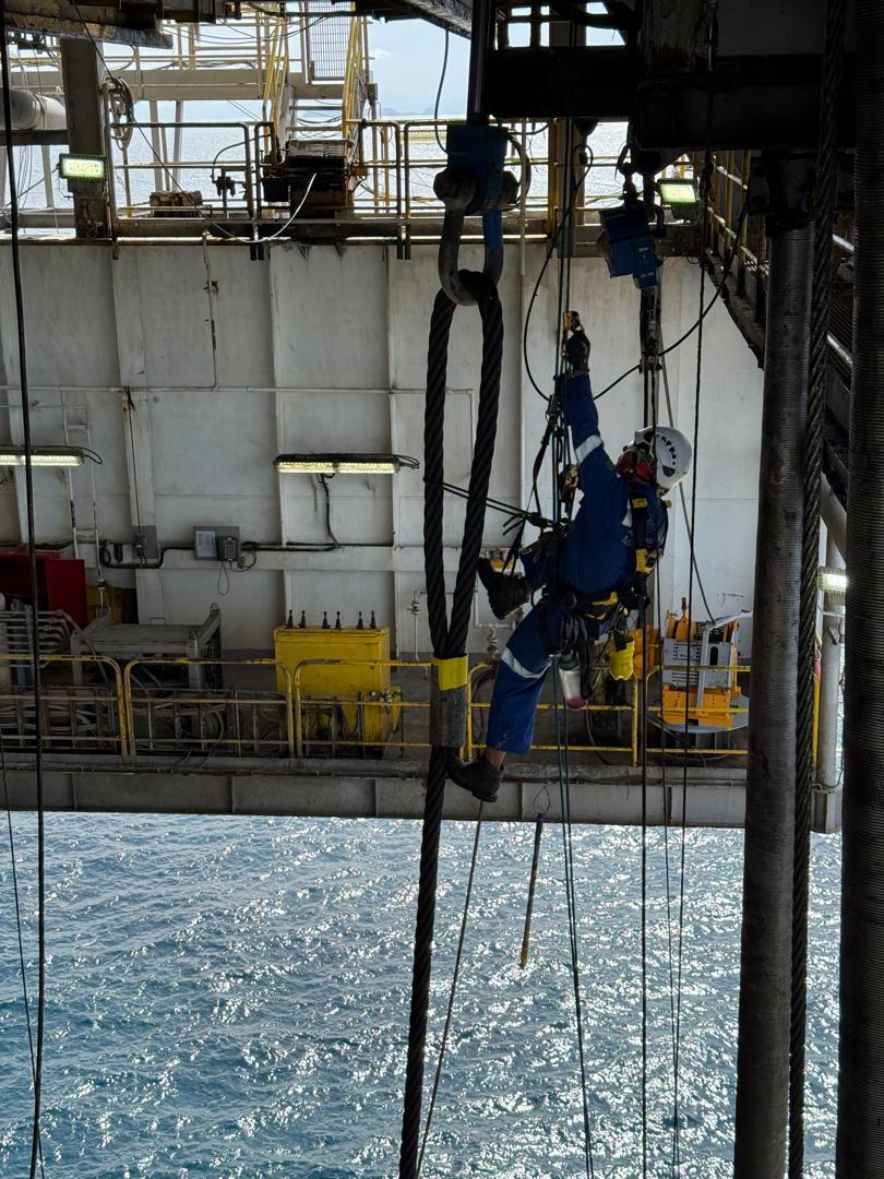 Tailored Solutions Professional & Clear